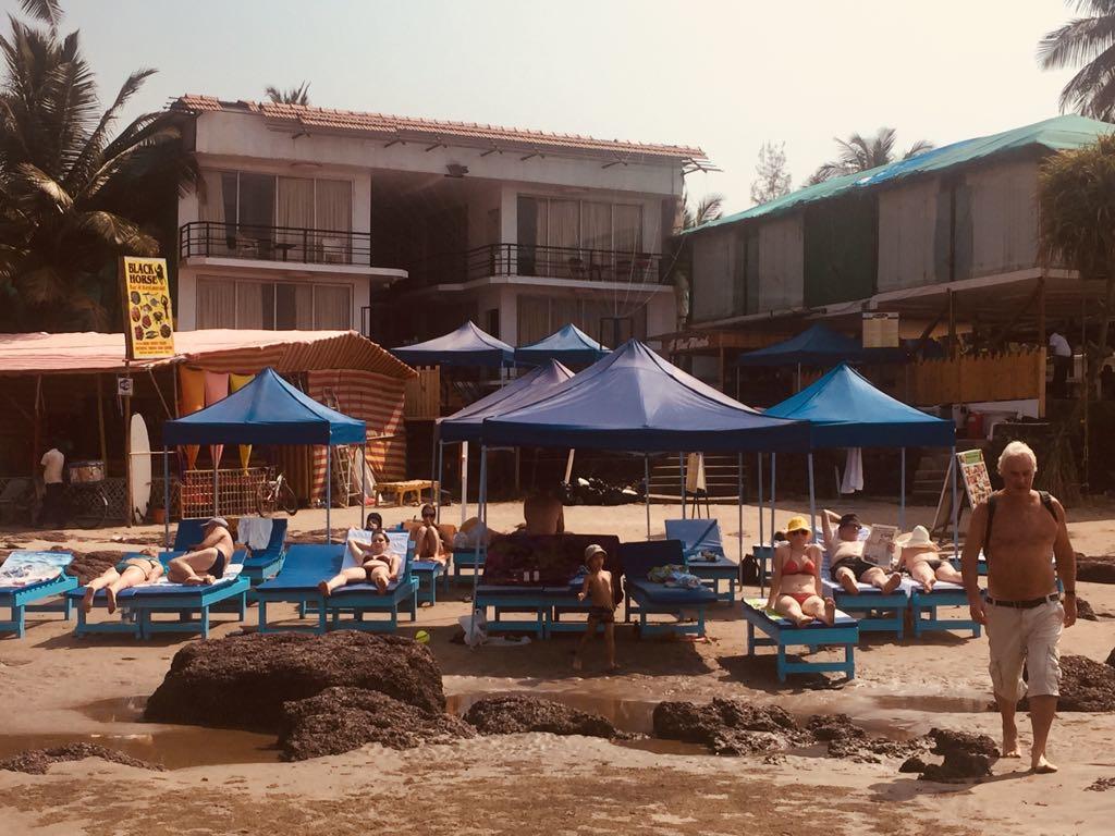 Boomerang Resort Mandrem Luaran gambar